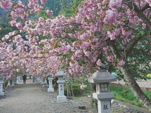 伊家具神社の参道