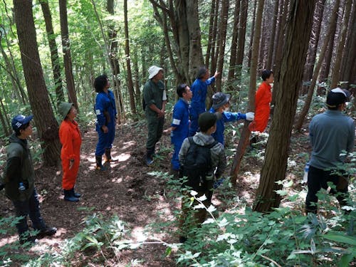 山歩きの様子